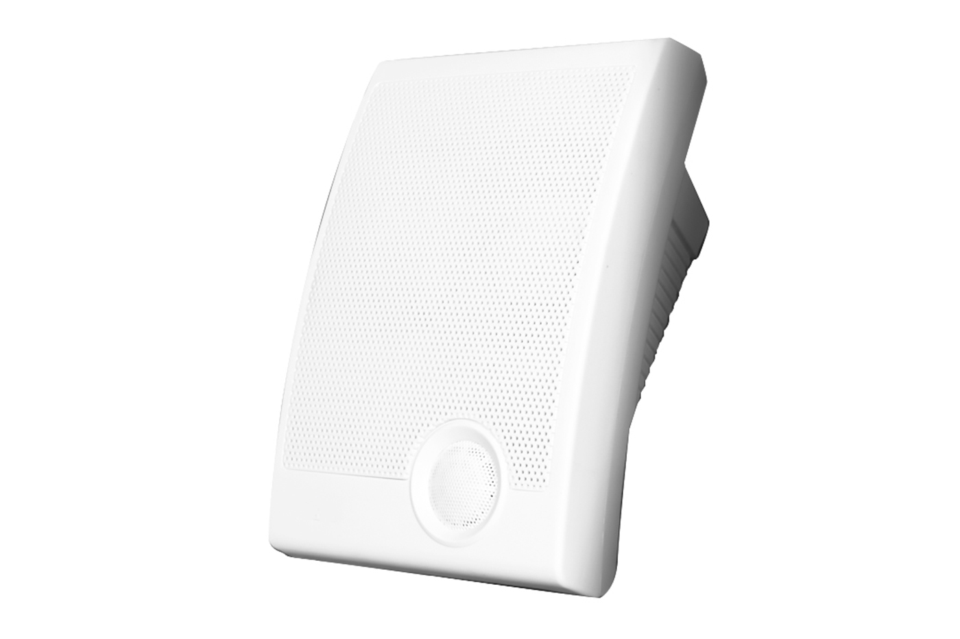 Cassa altoparlante 20W a muro diffusore audio da esterno 88438 Cassa altoparlante 20W a muro diffusore audio da esterno 88438