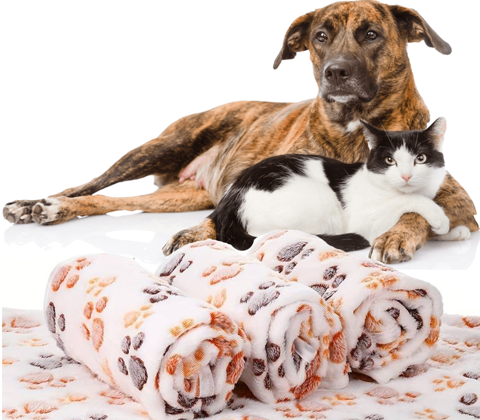 BES-34507 - WINTER - beselettronica - Coperta Plaid Per Cane Gatto Pile  Morbida 80X100CM Copridivano Animali Domestici