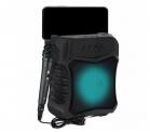 Cassa Speaker Bluetooth Karaoke 1 Microfono Portatile Wireless Q-S53