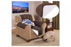 Copri Poltrona Double Face Per Animali Cane Gatto Proteggi Da Peli 165cm X 64 Cm