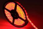 Striscia LED Adesiva 12V Luce Rossa 5M Esterno Tagliabile Flessibile IP65 2835