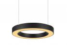 Lampadario Sospensione Cerchio 60cm Anello Luminoso Nero Moderno Luce Calda