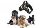 Pettorina Per Cani Imbracatura Taglia S Con Cinghie Regolabili