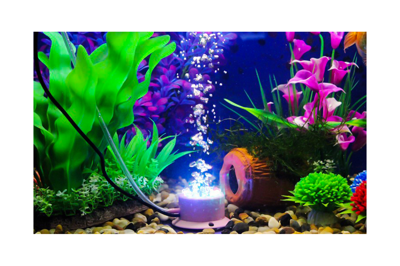 BES-26943 - Acquariologia - beselettronica - Mini lampada 12 led rgb da  immersione bolle d'aria per acquario luce multicolore