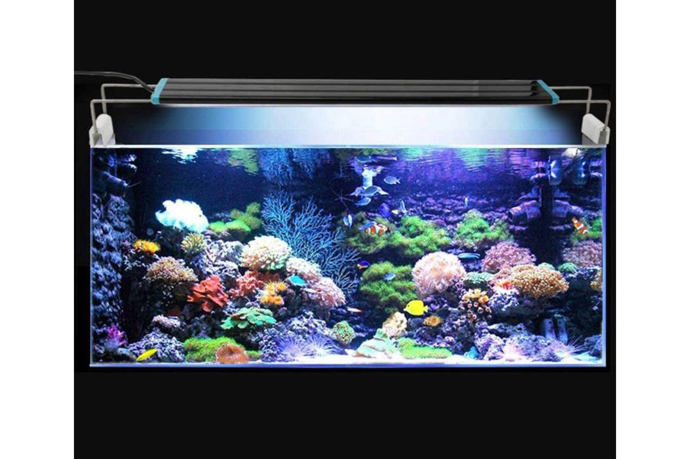 Plafoniera Led Acquario 150 Cm : Lampada led d plafoniera allungabile per acquario w bordo vasca