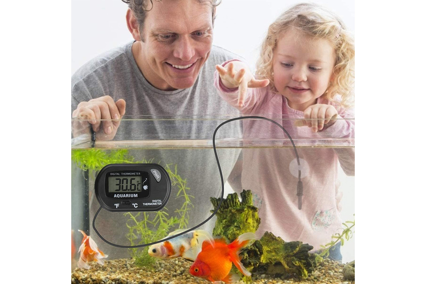 Termometro Digitale,Termometro Acquario,Misuratore Temperatura Acqua, Termometro Digitale Acquario,Misuratore Temperatura Acquario,con Sonda  Esterna e Ventosa,per Acquario,Terrario Rettili,Incubatrice : :  Prodotti per animali domestici