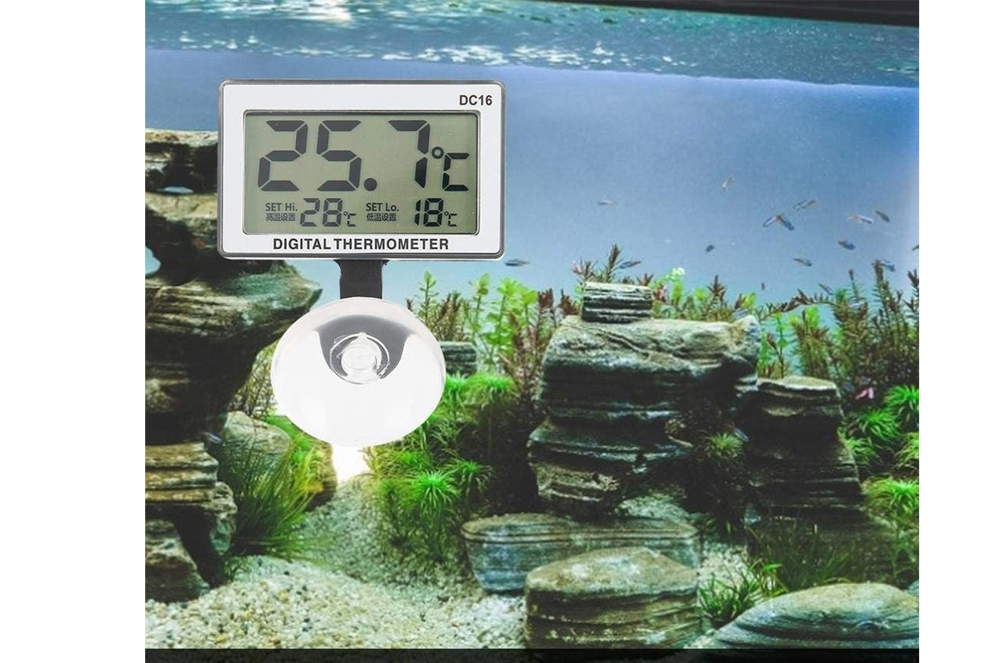 BES-28294 - Acquariologia - beselettronica - Termometro per acquario  impermeabile schermo lcd ventosa interno DC16